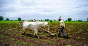 Viksit Krishi Sankalp Abhiyan: Encouraging Farmers for Soil Testing and Scientific Farming